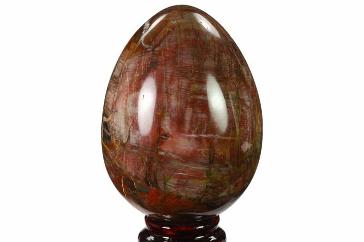 Colorful, Polished Petrified Wood Egg - Triassic #133909